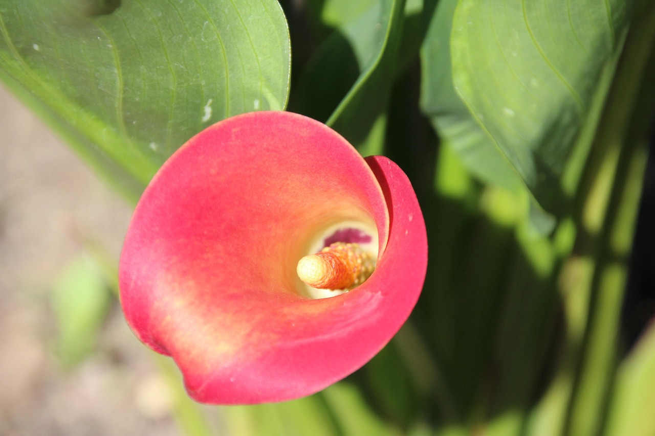 optimisez votre tunnel de vente pour augmenter vos conversions et maximiser votre chiffre d'affaires grâce à des stratégies éprouvées et des outils performants.