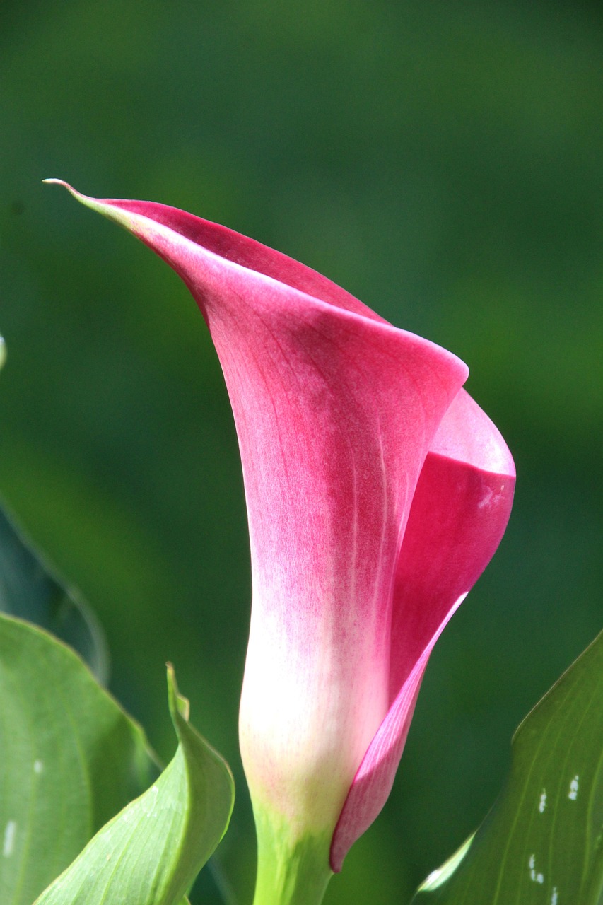 Comment optimiser votre funnel de vente pour booster vos conversions optimisez votre tunnel de vente pour augmenter vos conversions, améliorer votre parcours client et maximiser vos revenus grâce à des stratégies efficaces et des outils adaptés.