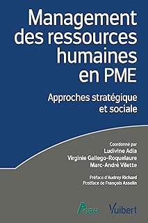 Management des ressources humaines en PME: Approches stratégique et sociale