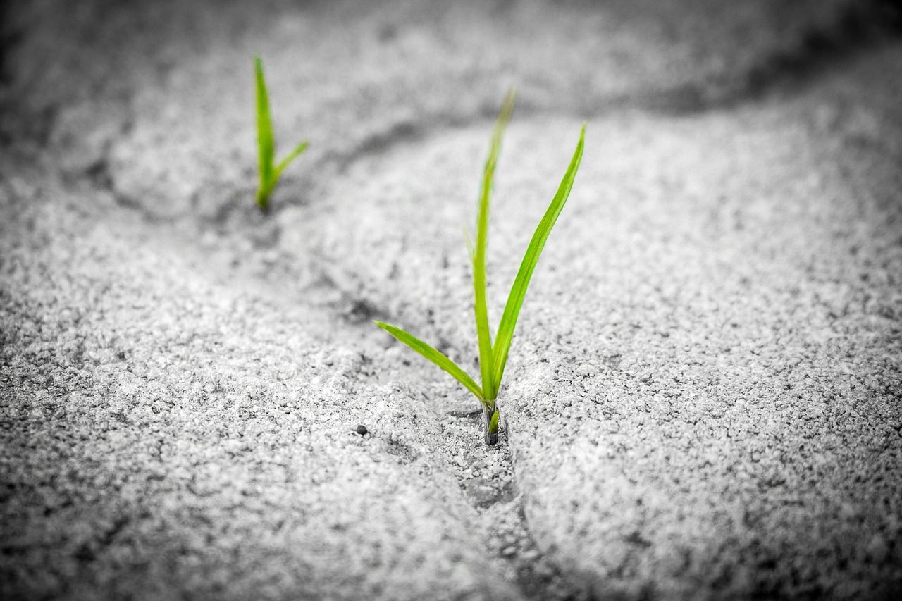 Quels sont les secrets des entrepreneurs qui rebondissent après un échec ? découvrez le concept de résilience, sa signification, son importance dans la vie personnelle et professionnelle, et comment développer cette capacité à surmonter les défis.